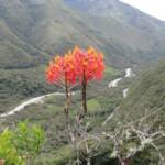 8-exteriores-1-tunkiwasi-lodge